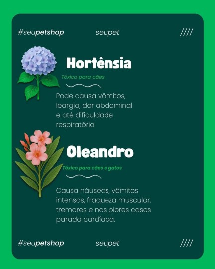 template Design Card