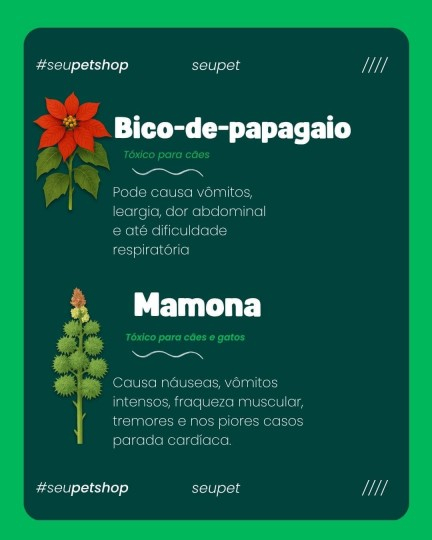 template Design Card