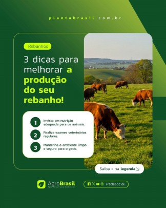 template Design Card